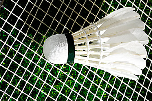 股改的背景 股改的背景