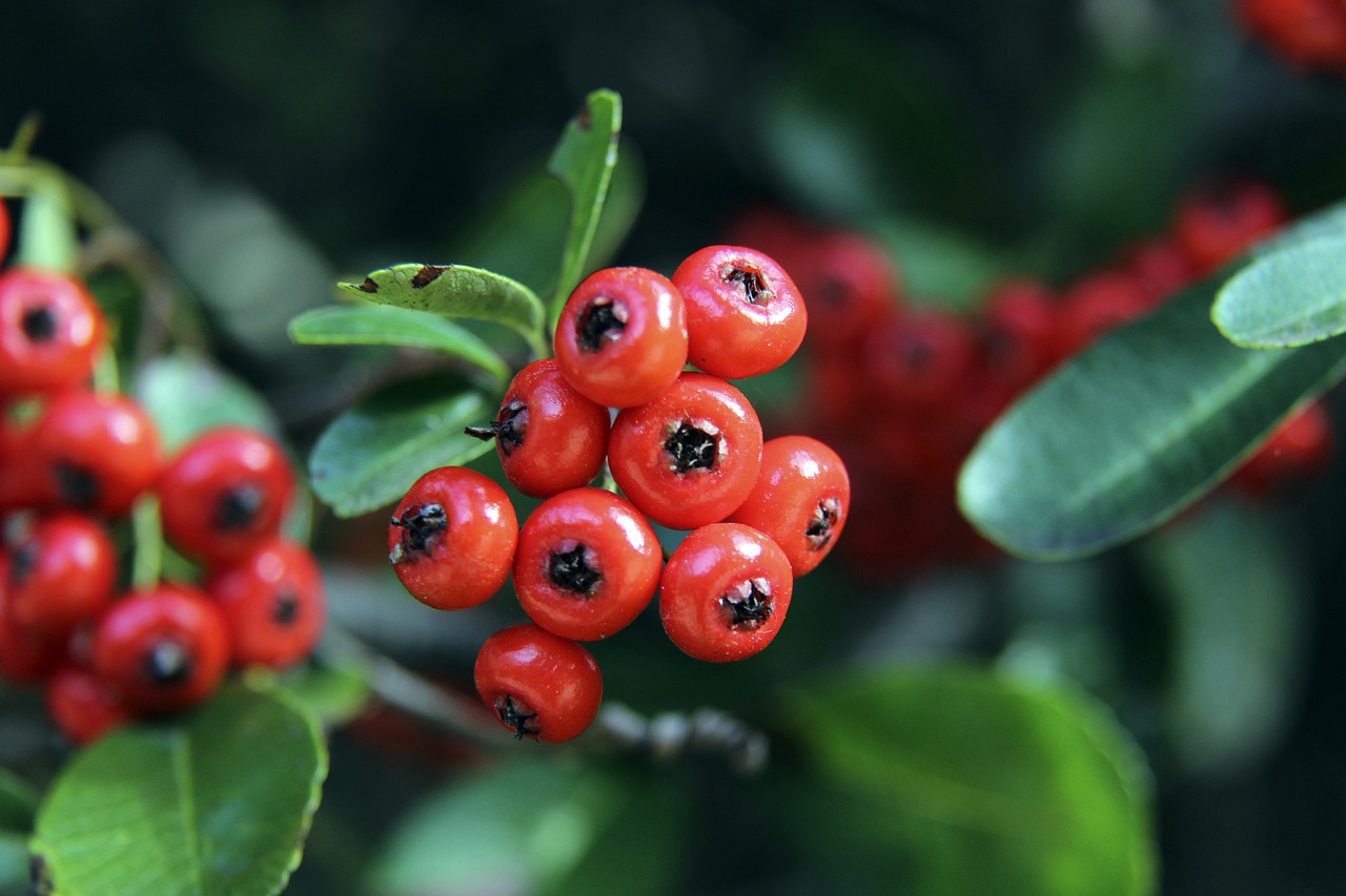 类似情况出 类似情况出