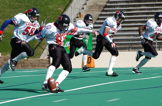 对滑冰充满 对滑冰充满