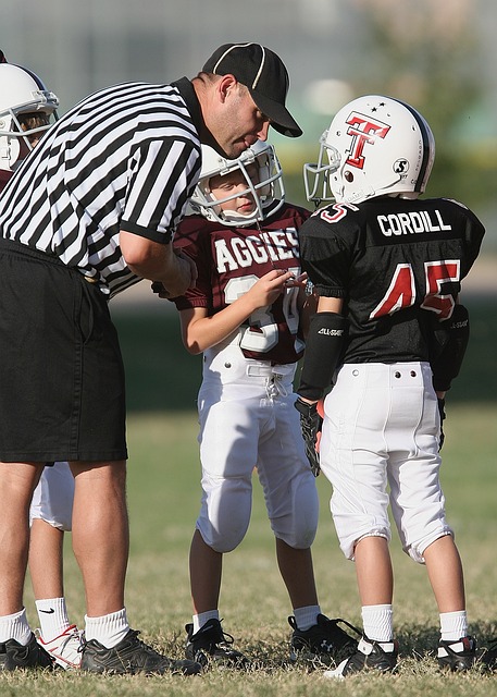 包括集中提 包括集中提