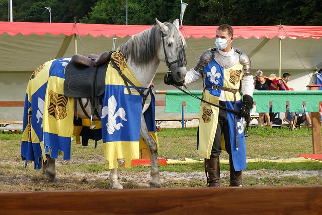 战略智慧 战略智慧