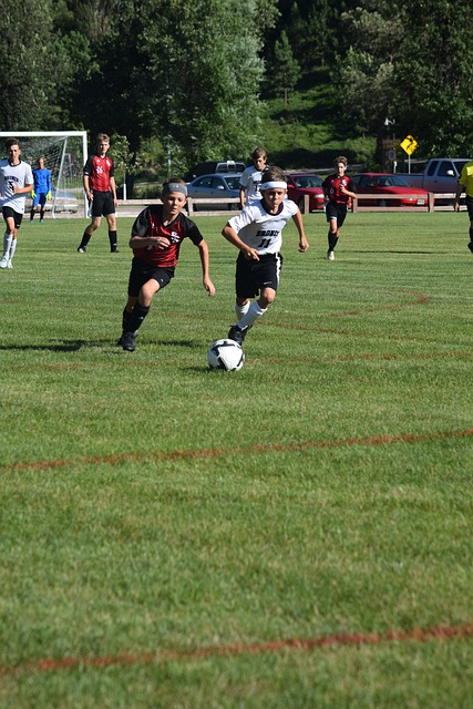 尽管有出色 尽管有出色